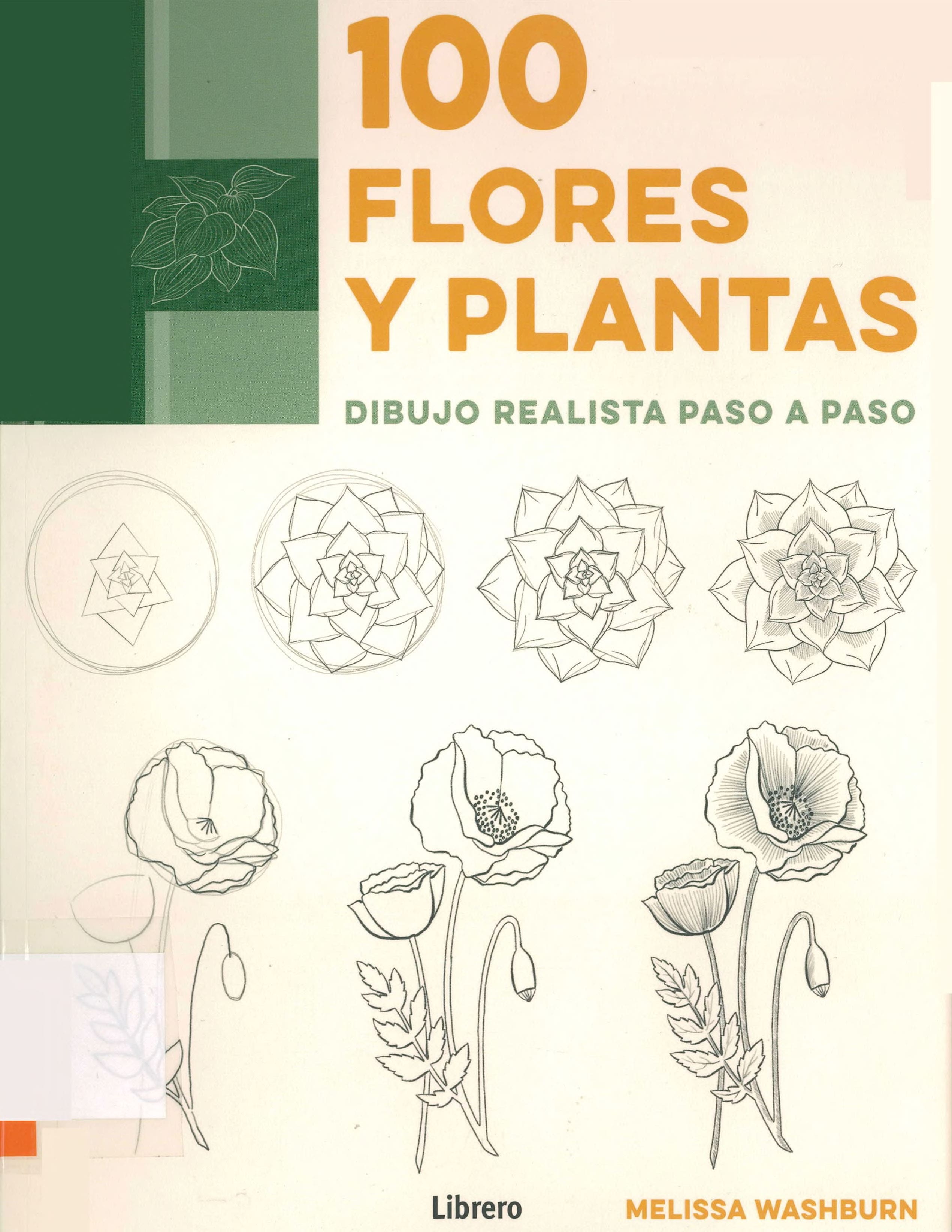 Portada 100 flores y plantas : dibujo realista paso a paso